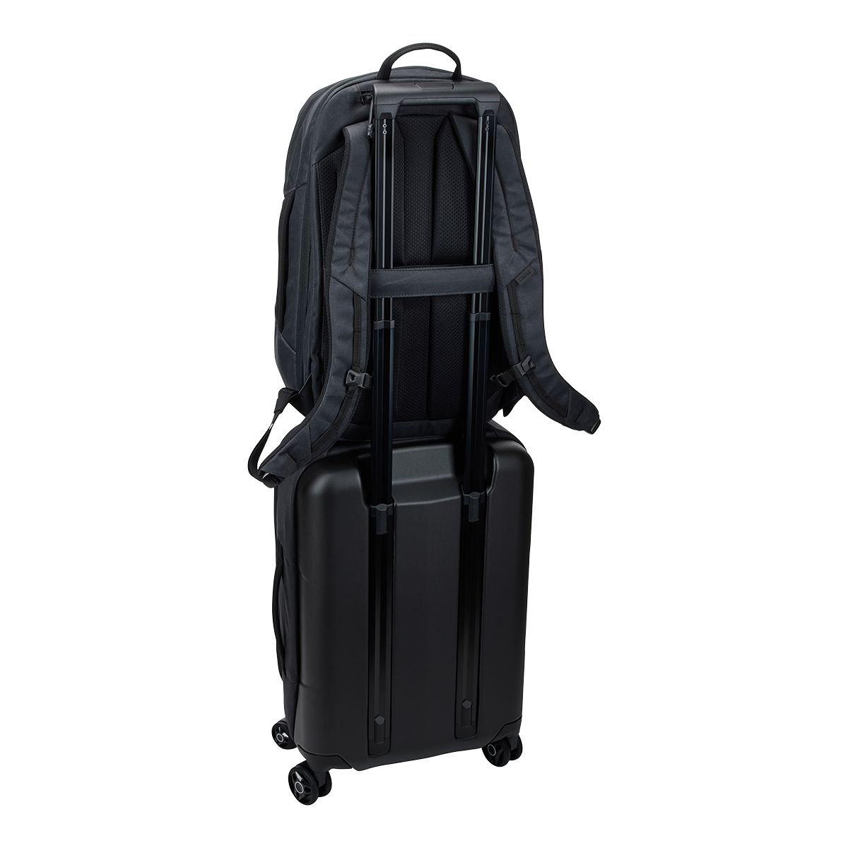 Thule Aion Travel 28L Backpack Back_Angled_Left