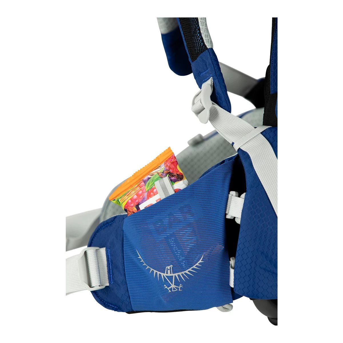 Osprey Poco Child Carrier