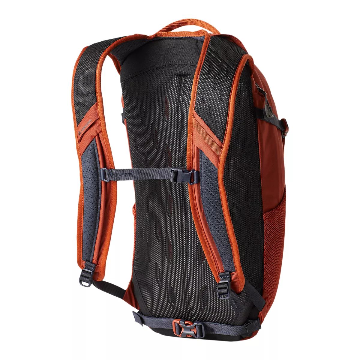 Gregory Nano 20L Backpack