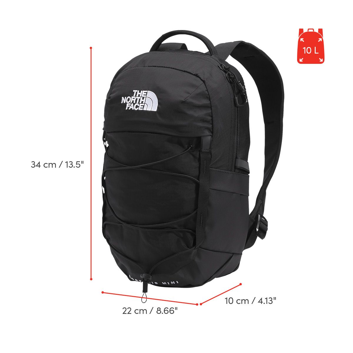 The North Face Borealis Mini 10L Day Pack with Water Bottle Pockets