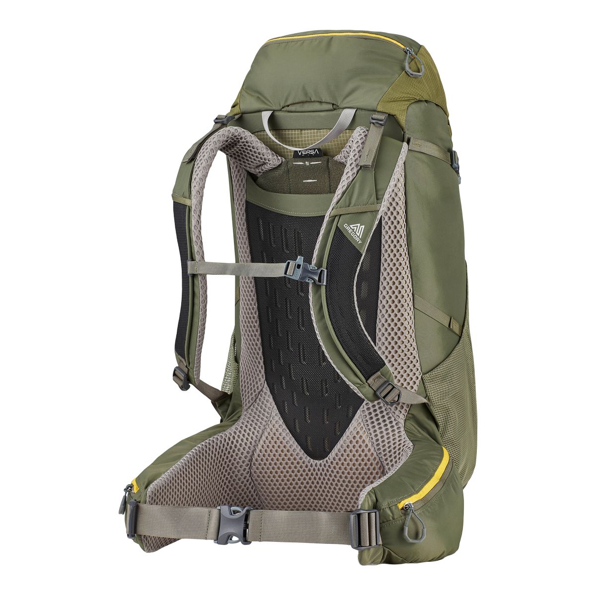 Gregory Stout 45L Backpack Back_Angled_Right