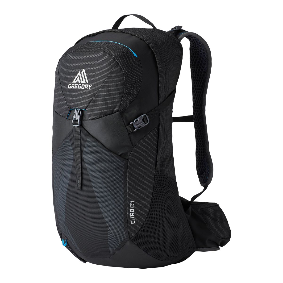 Gregory Citro 24L Backpack