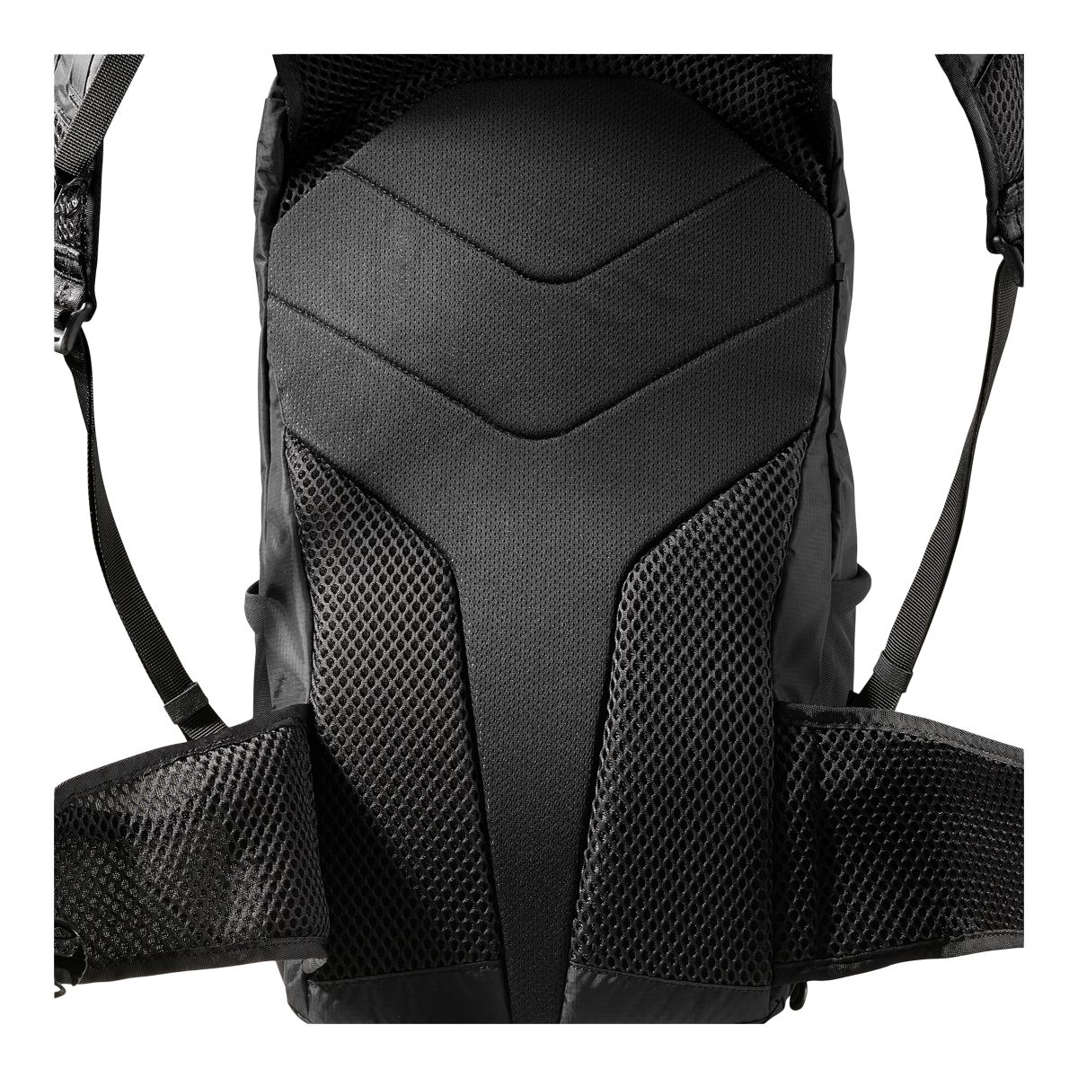 Salomon Trailblazer 20 Daypack CloseUp