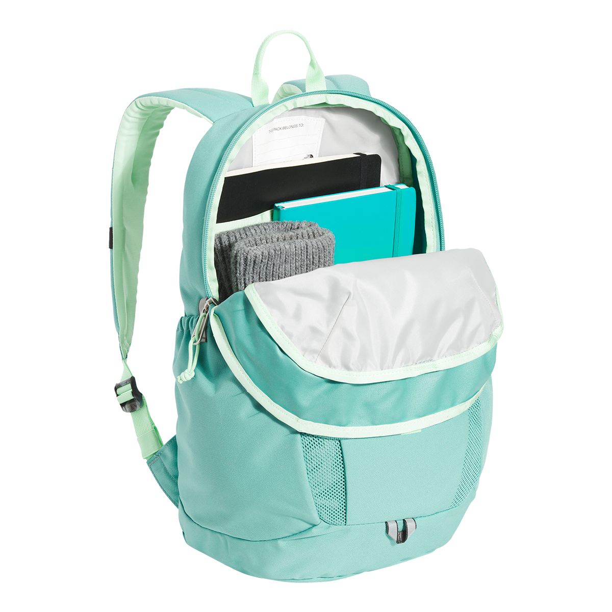 The North Face Kids' Mini Recon 18L Backpack