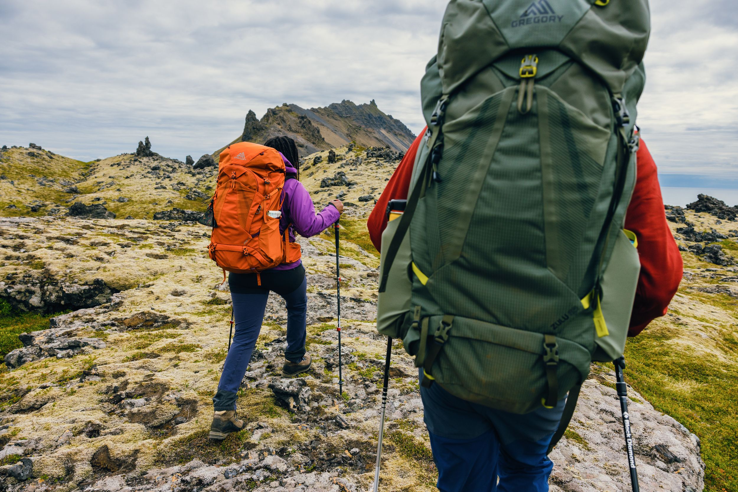 パリファク Travelpro Infinity 3-piece Hardside Luggage Set | Costco