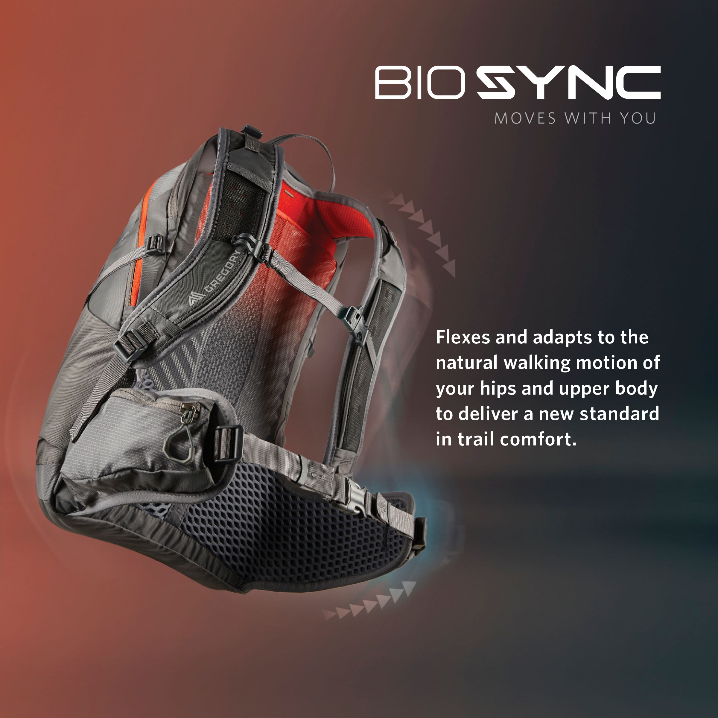 Gregory Maya 30L Backpack