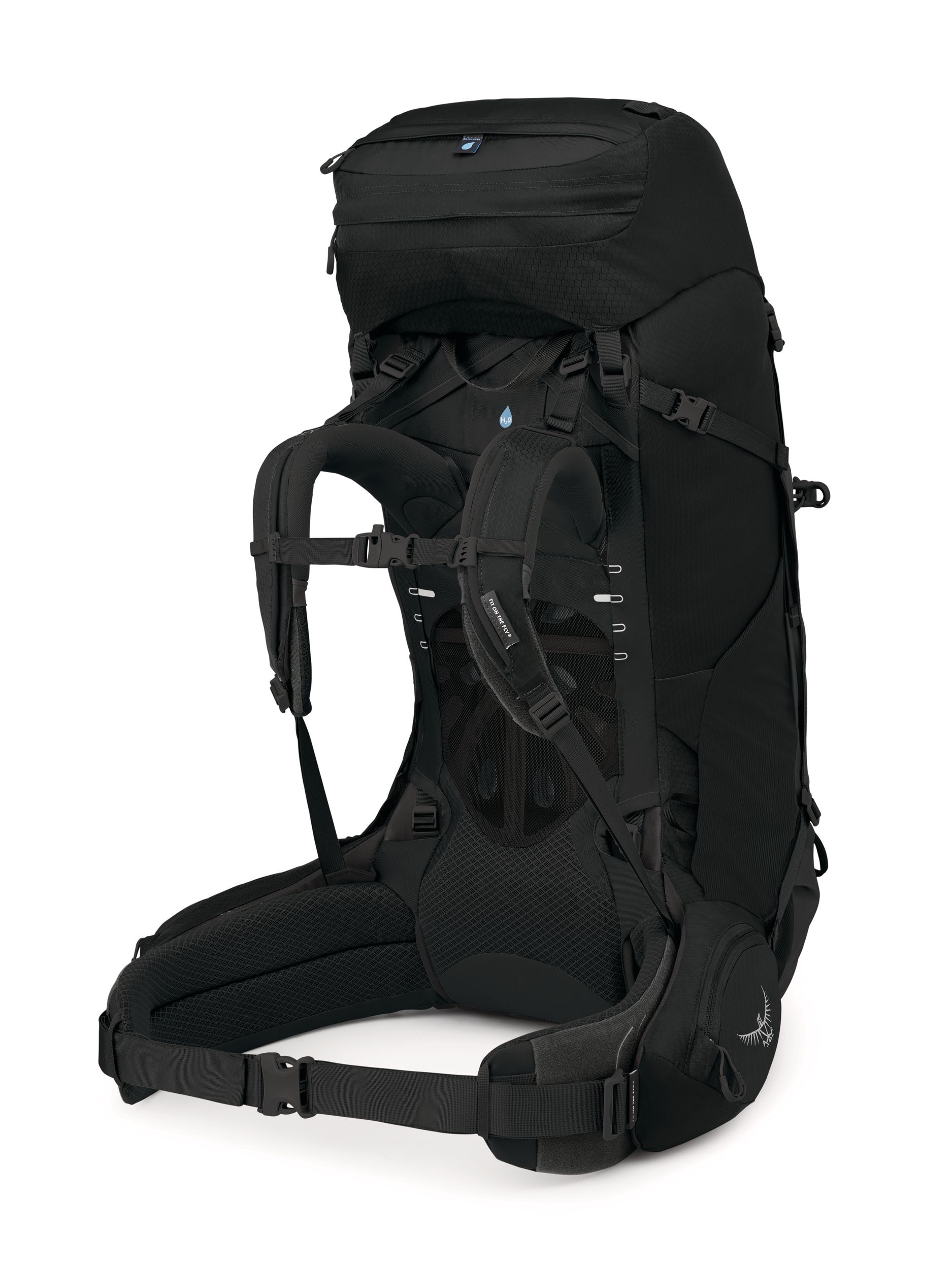 Osprey Aether 65L Extended Fit Backpack