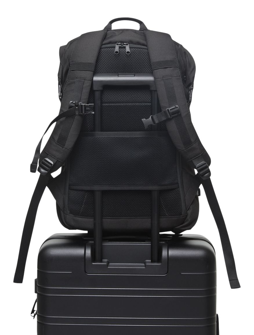tentree Mobius 35L Backpack