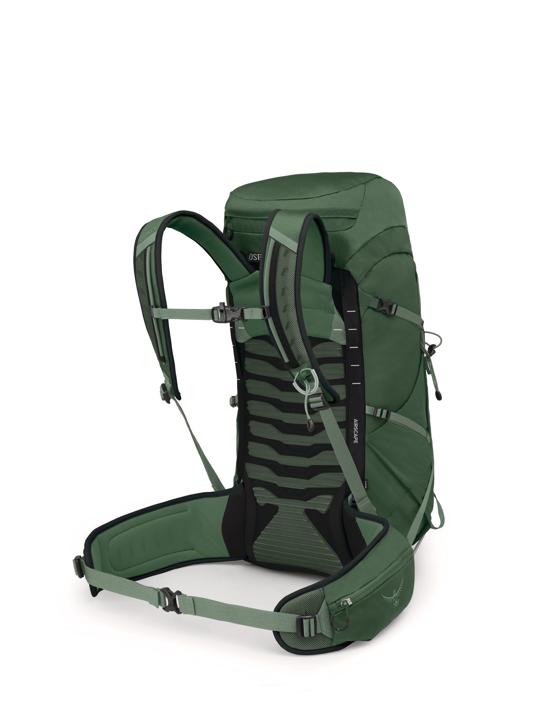 OSPREY Talon™ 33 Extended Fit Hiking Backpack