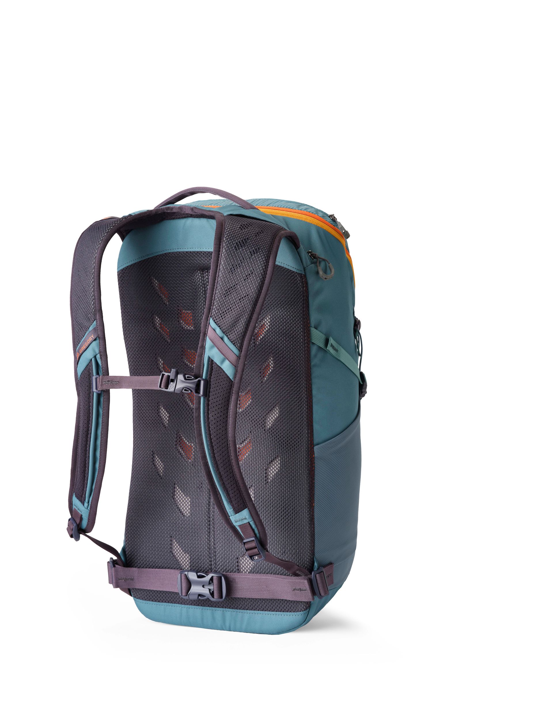 Gregory Nano 24 Day Pack