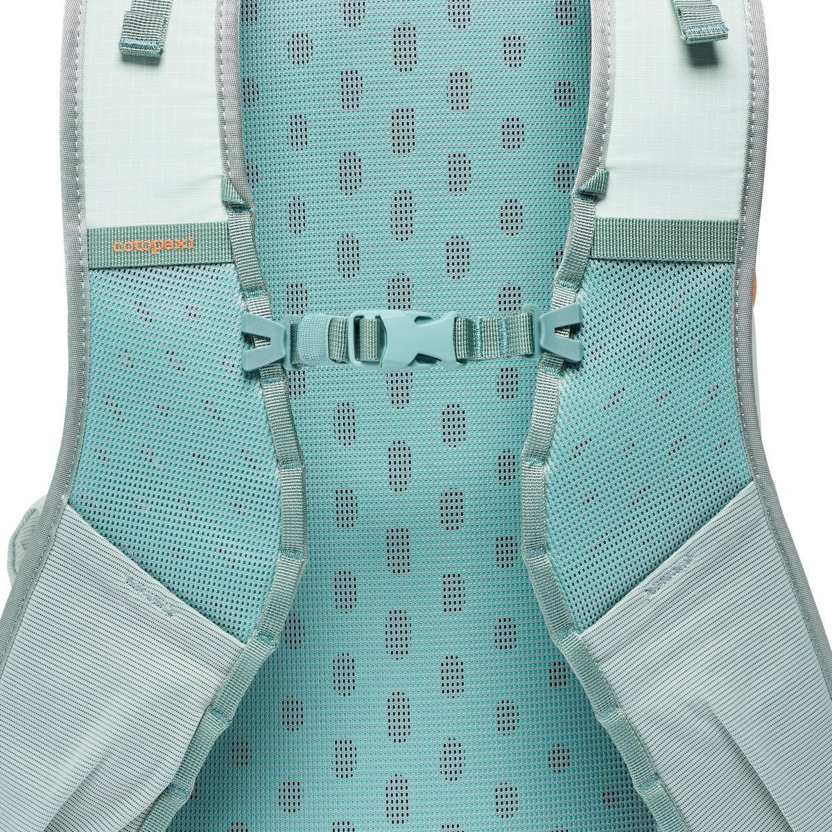 Cotopaxi Elqui 24L Backpack