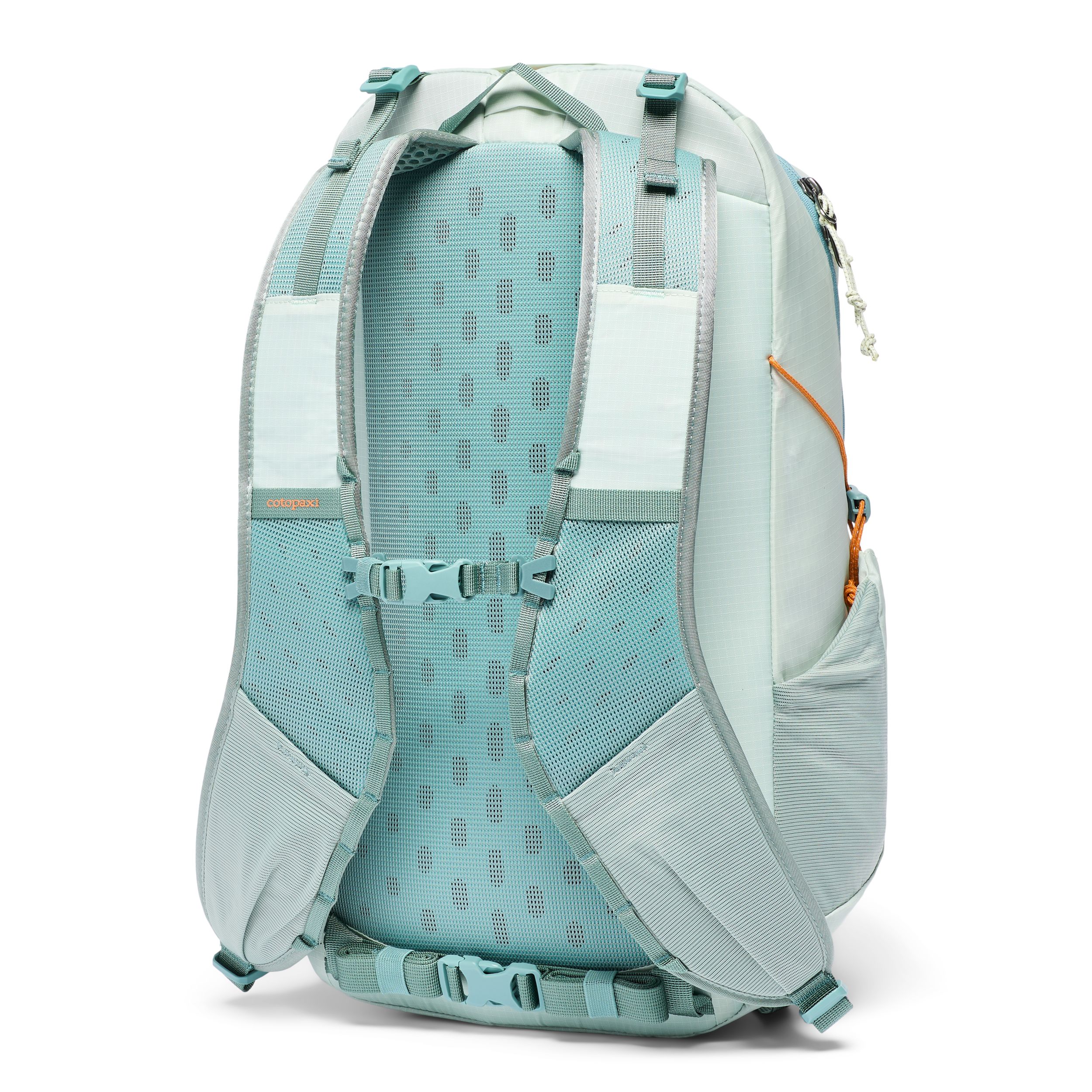Cotopaxi Elqui 24L Backpack