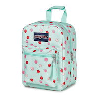 JanSport Big Break Lunch Kit