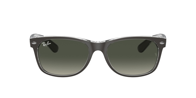 Ray-Ban New Wayfayer Brushed Rb 2131 Sunglasses
