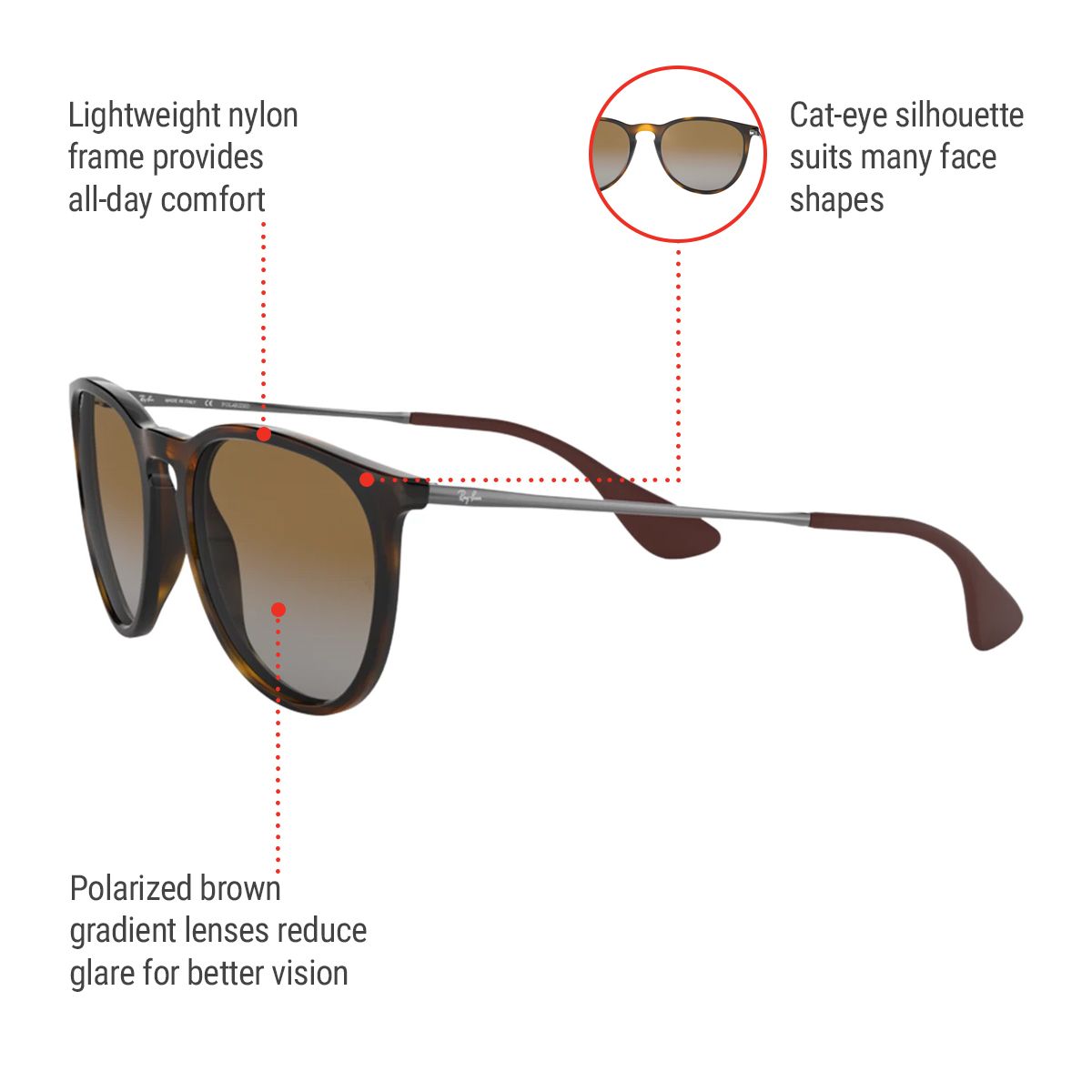 Ray Ban Women's Erika Cat-Eye Sunglasses