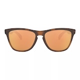 Oakley Men's/Women's Frogskins Wayfarer Sunglasses, Polarized Front_Flat