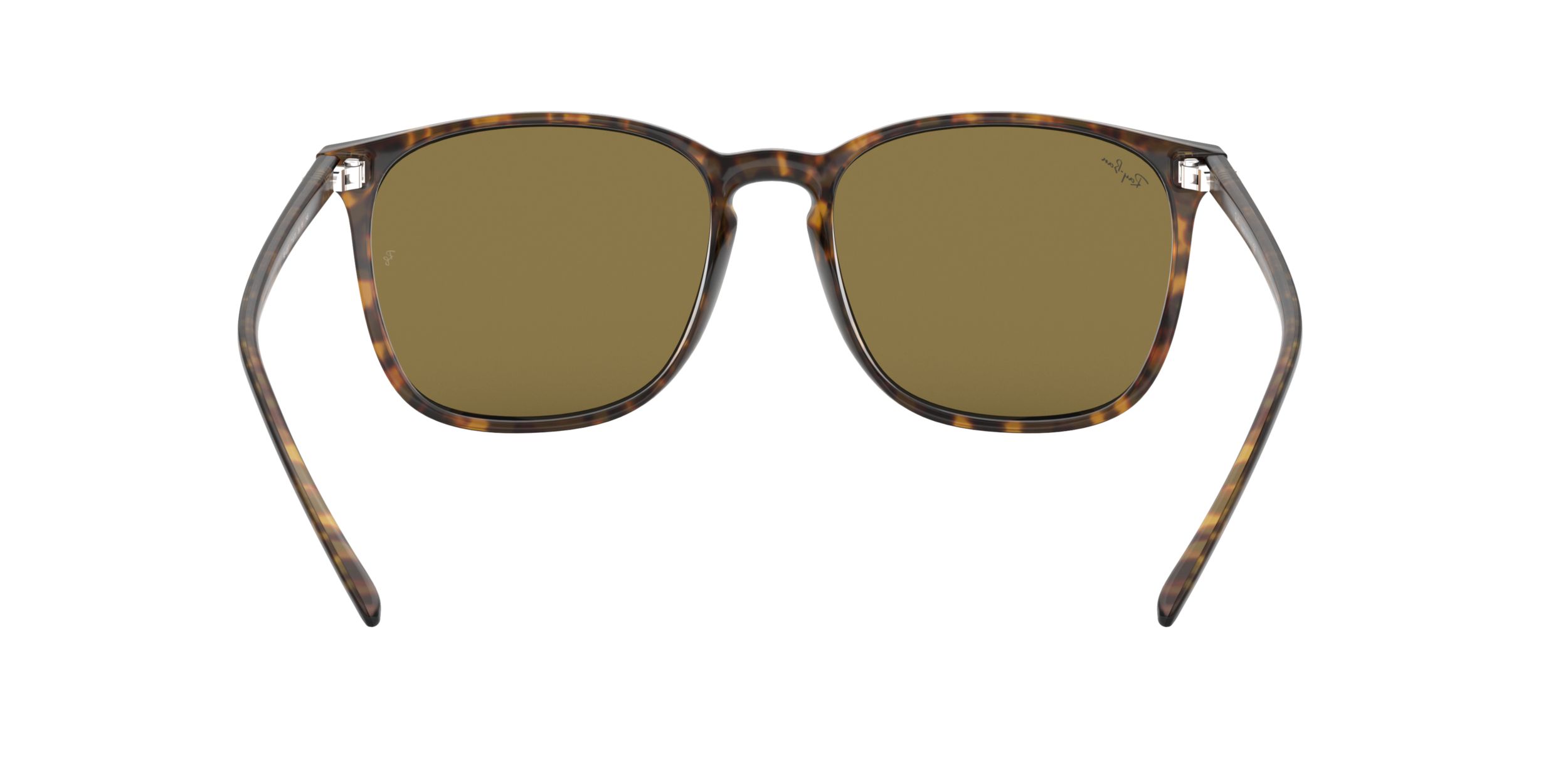 Ray-Ban Unisex 4387 Square Sunglasses