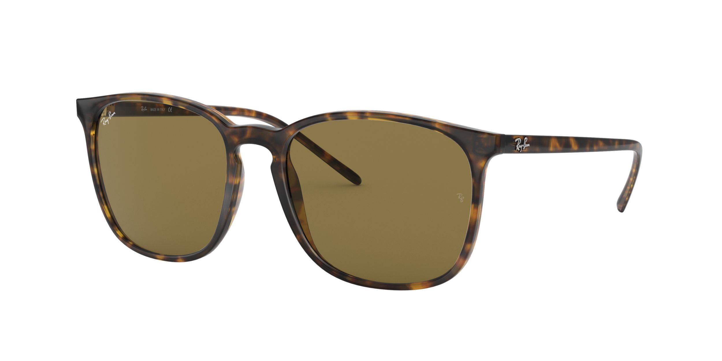 Ray-Ban Unisex 4387 Square Sunglasses