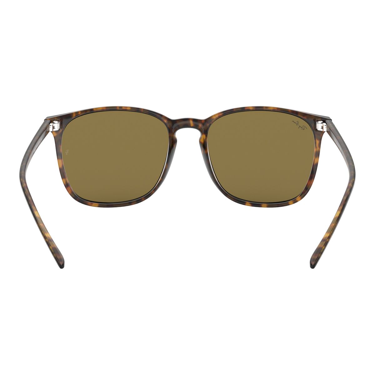 Ray-Ban Unisex 4387 Square Sunglasses