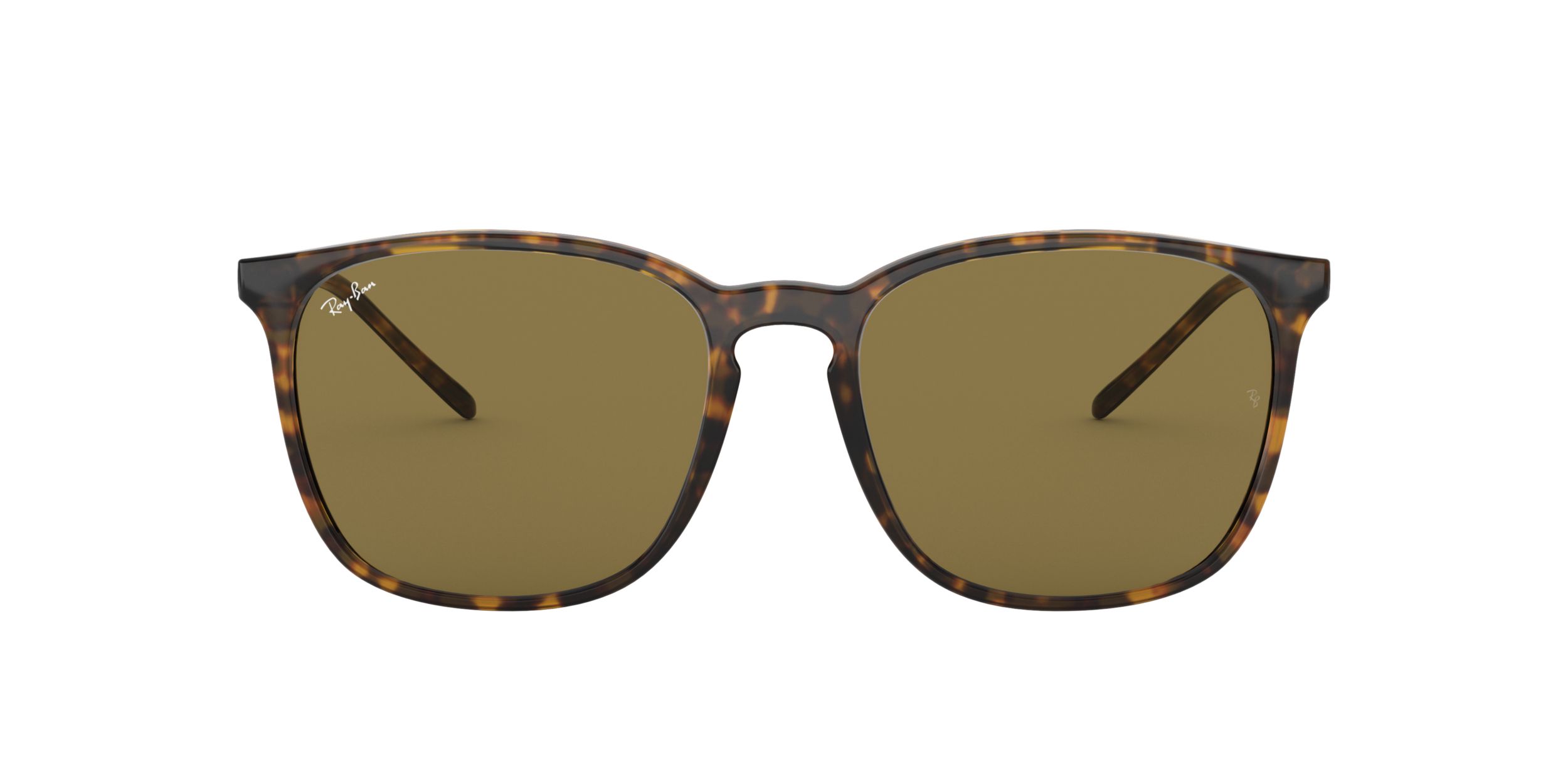 Ray-Ban Unisex 4387 Square Sunglasses
