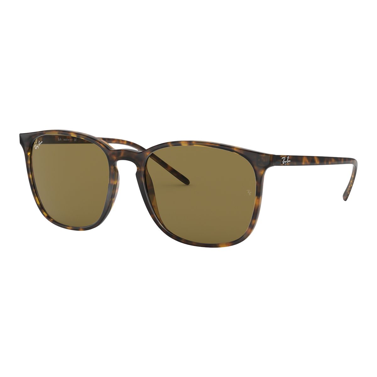 Ray-Ban Unisex 4387 Square Sunglasses