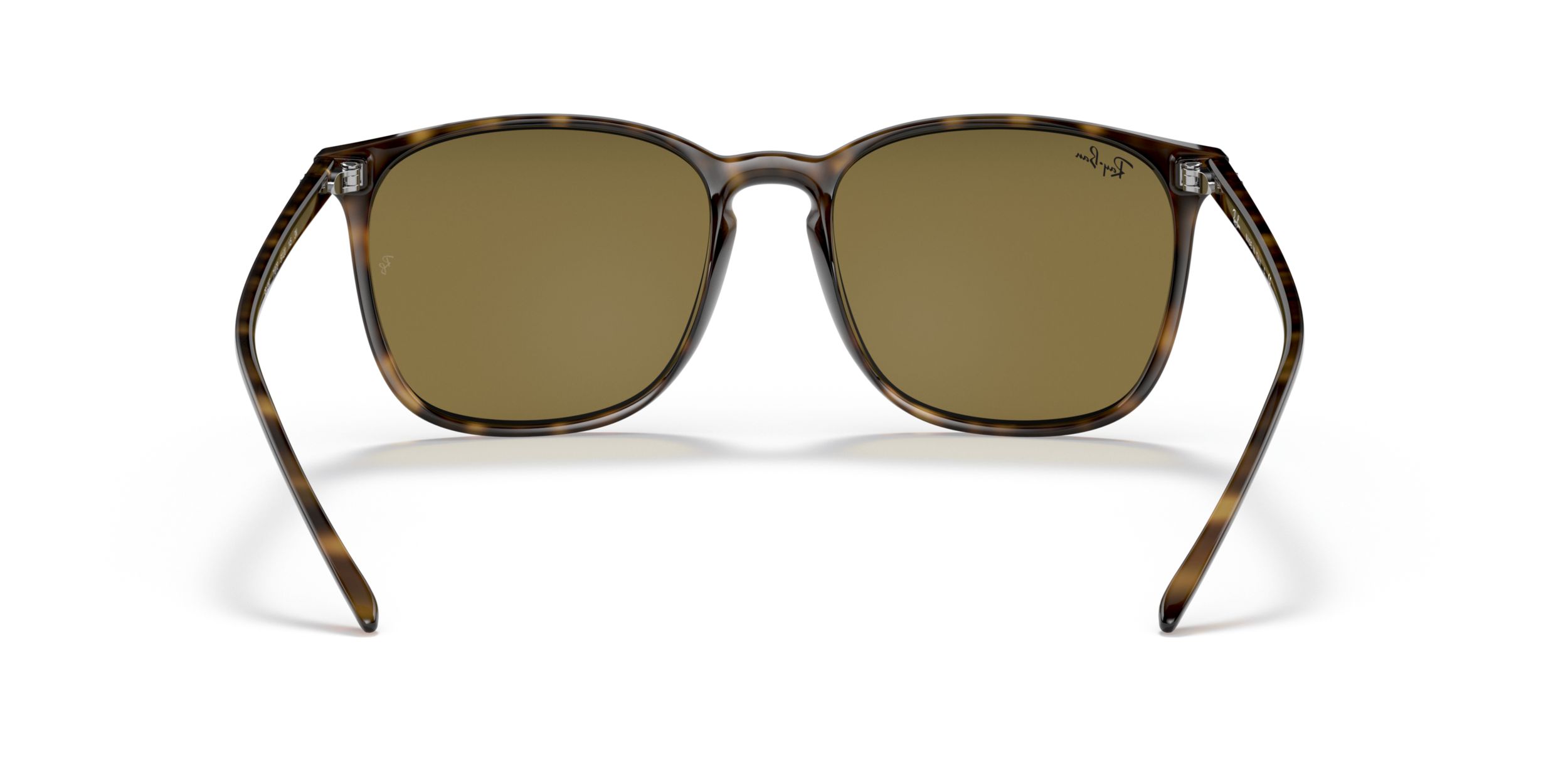 Ray-Ban Unisex 4387 Square Sunglasses