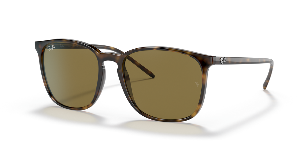 Ray-Ban Unisex 4387 Square Sunglasses