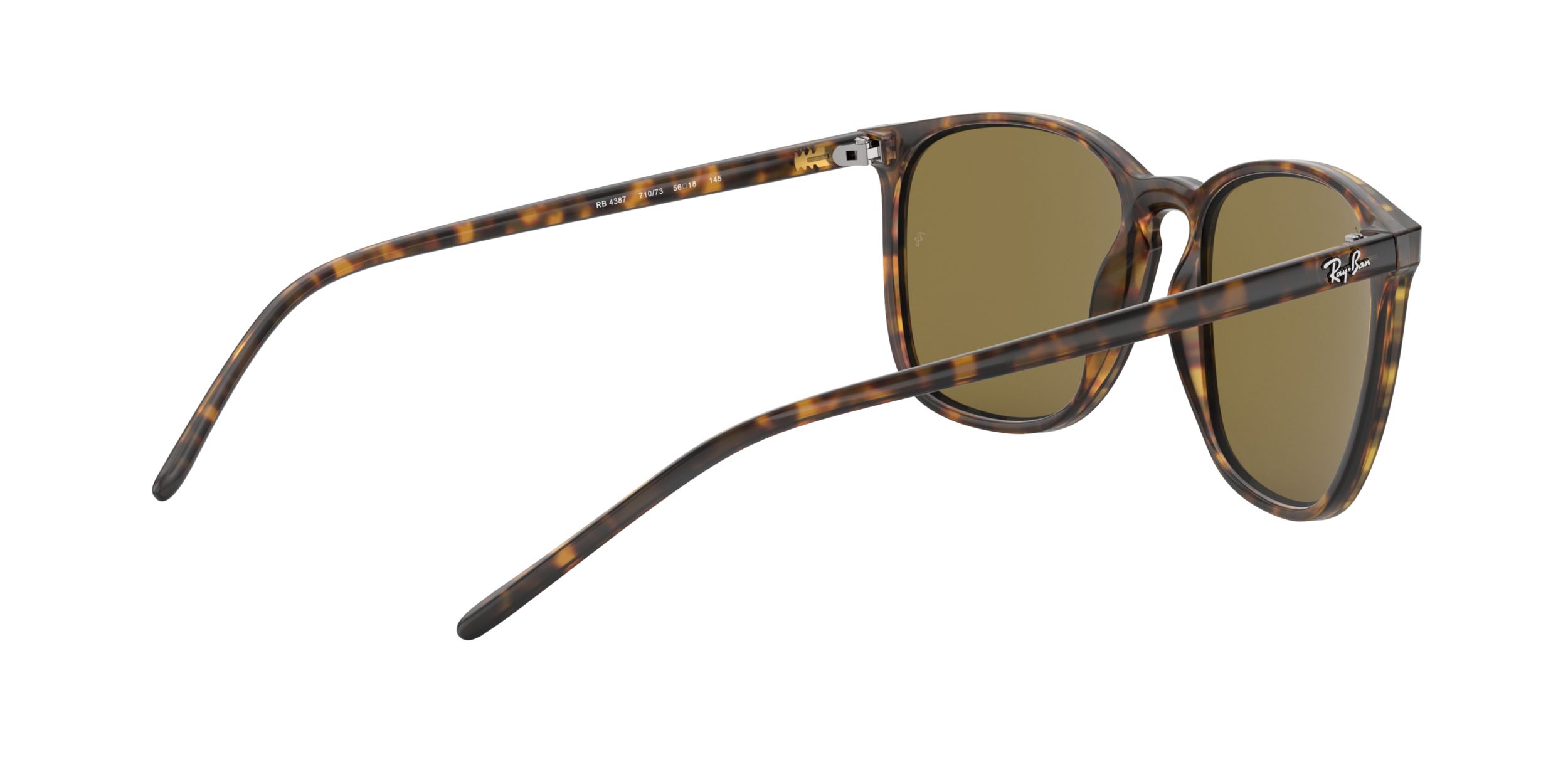 Ray-Ban Unisex 4387 Square Sunglasses