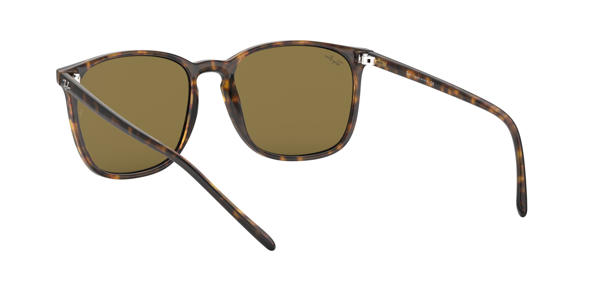 Ray-Ban Unisex 4387 Square Sunglasses