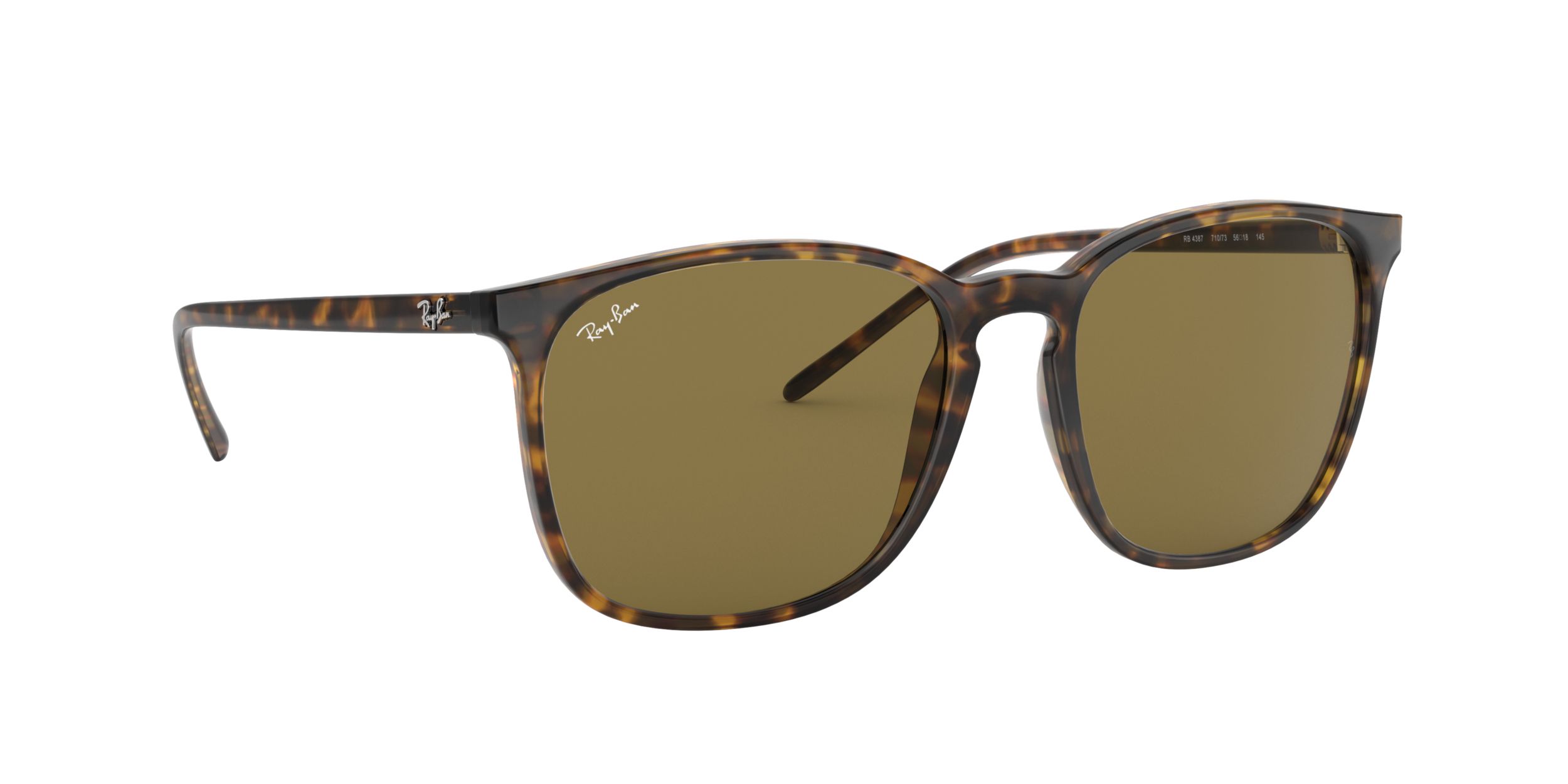 Ray-Ban Unisex 4387 Square Sunglasses