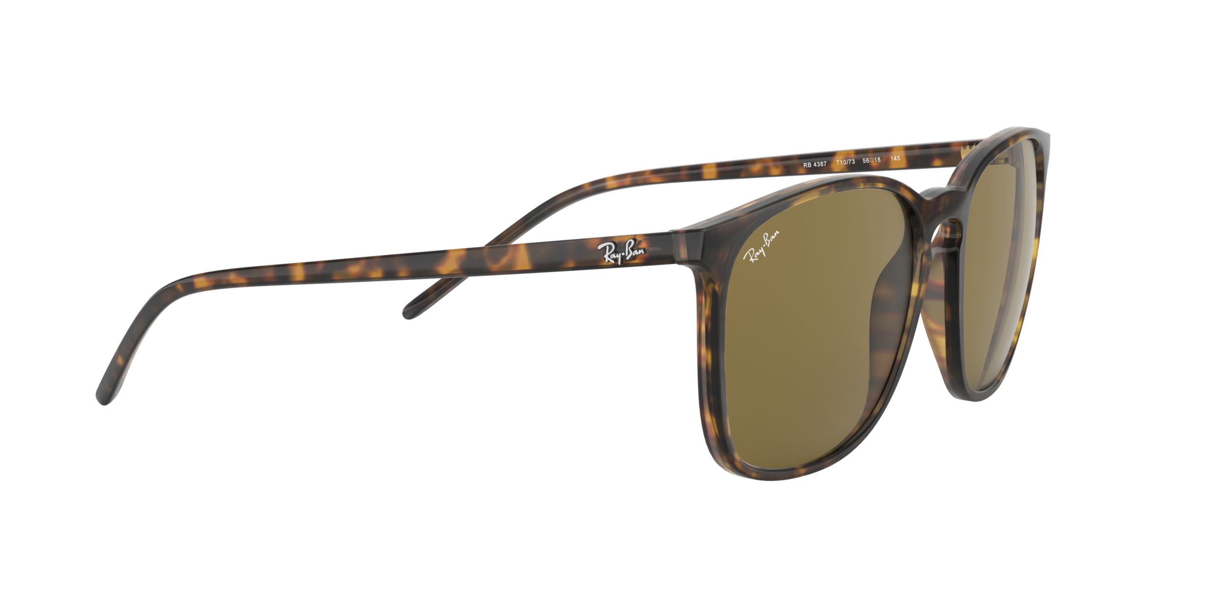 Ray-Ban Unisex 4387 Square Sunglasses