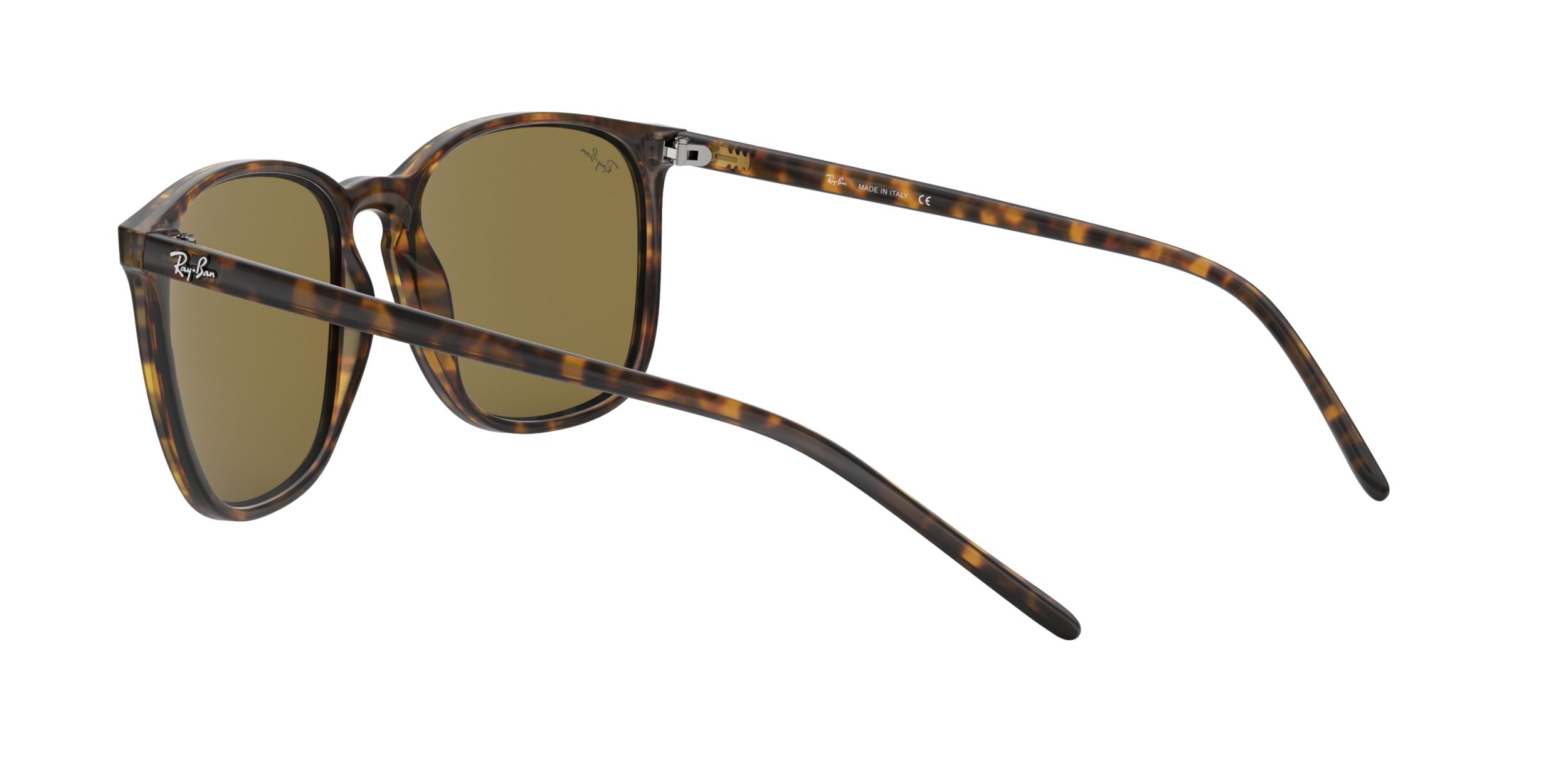 Ray-Ban Unisex 4387 Square Sunglasses