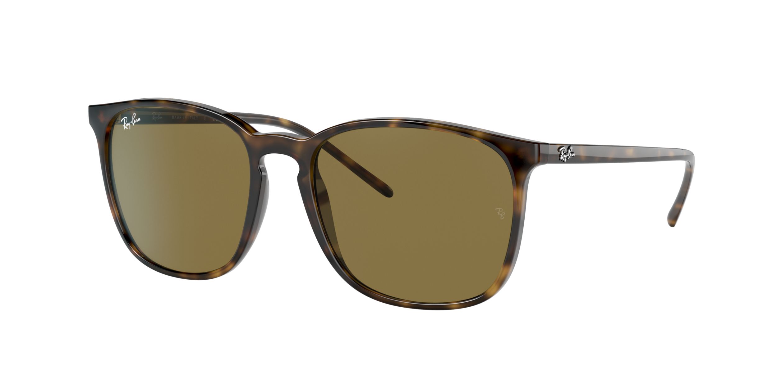 Ray-Ban Unisex 4387 Square Sunglasses