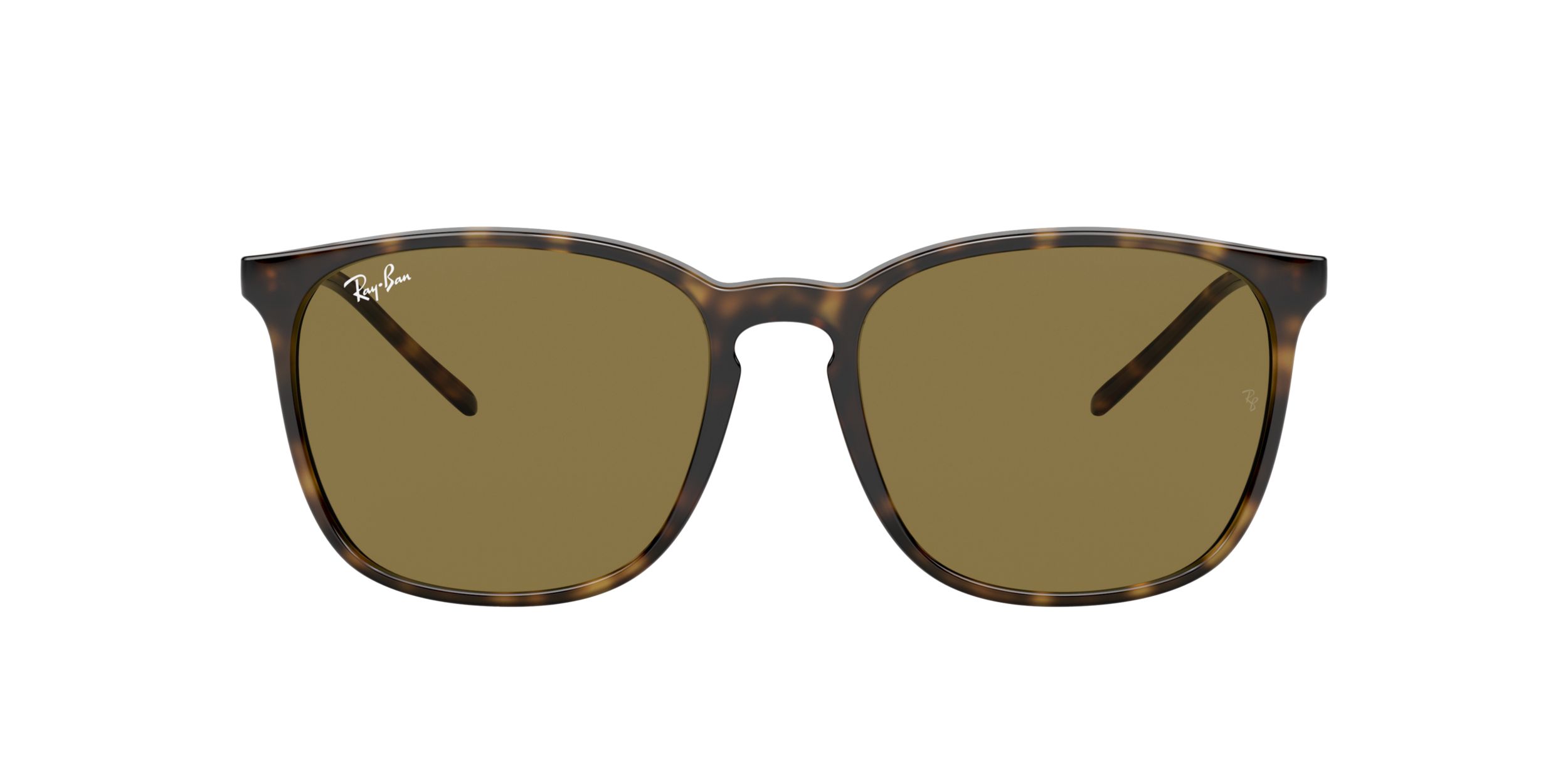 Ray-Ban Unisex 4387 Square Sunglasses