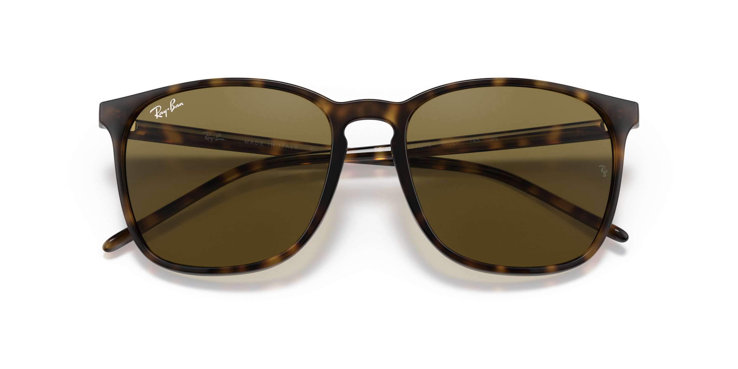 Ray-Ban Unisex 4387 Square Sunglasses