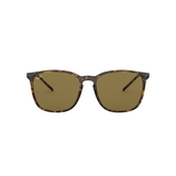Ray-Ban Unisex 4387 Square Sunglasses Front_Flat