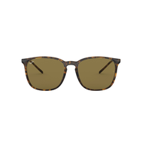 Ray-Ban Unisex 4387 Square Sunglasses Front_Flat