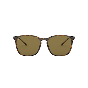 Ray-Ban Unisex 4387 Square Sunglasses
