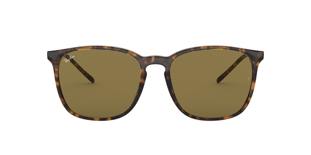 Ray-Ban Unisex 4387 Square Sunglasses Front_Flat