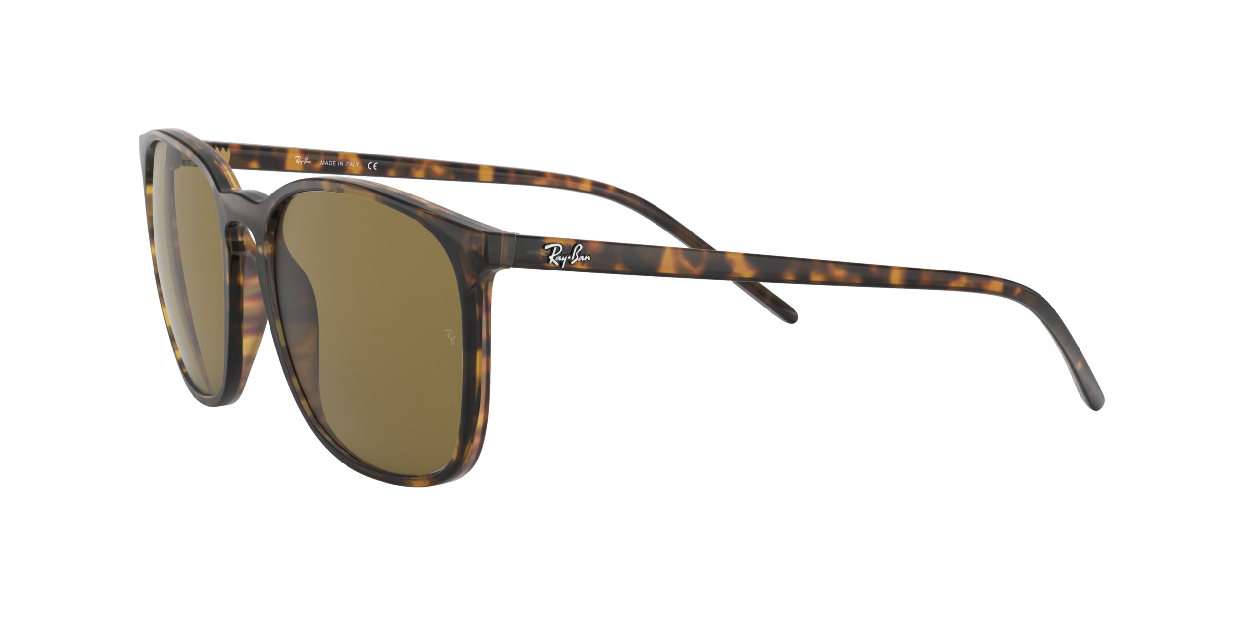 Ray-Ban Unisex 4387 Square Sunglasses