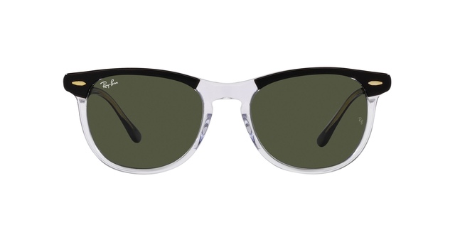 Ray-Ban Eagleeye Sunglasses