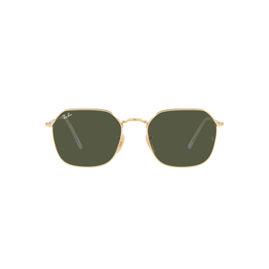 Ray-Ban Jim Sunglasses