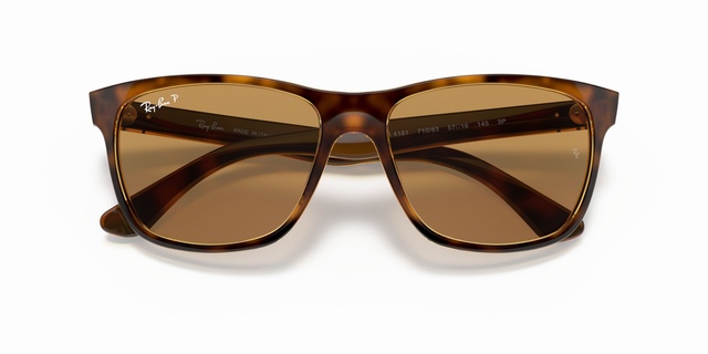 Ray Ban RB4181 Sunglasses
