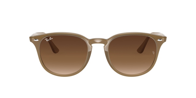 Ray Ban 0RB4259 Sunglasses
