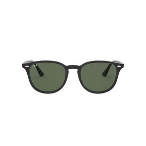Ray Ban 0RB4259 Sunglasses