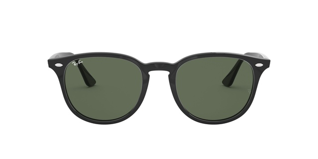 Ray Ban 0RB4259 Sunglasses