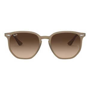 Ray-Ban 0RB4306 Sunglasses