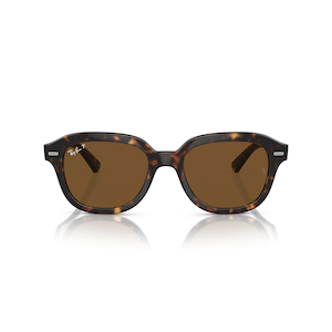 Ray Ban Erik Sunglasses