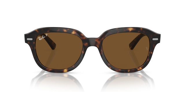 Ray Ban Erik Sunglasses