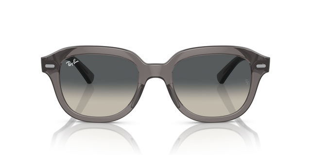 Ray-Ban Erik Sunglasses